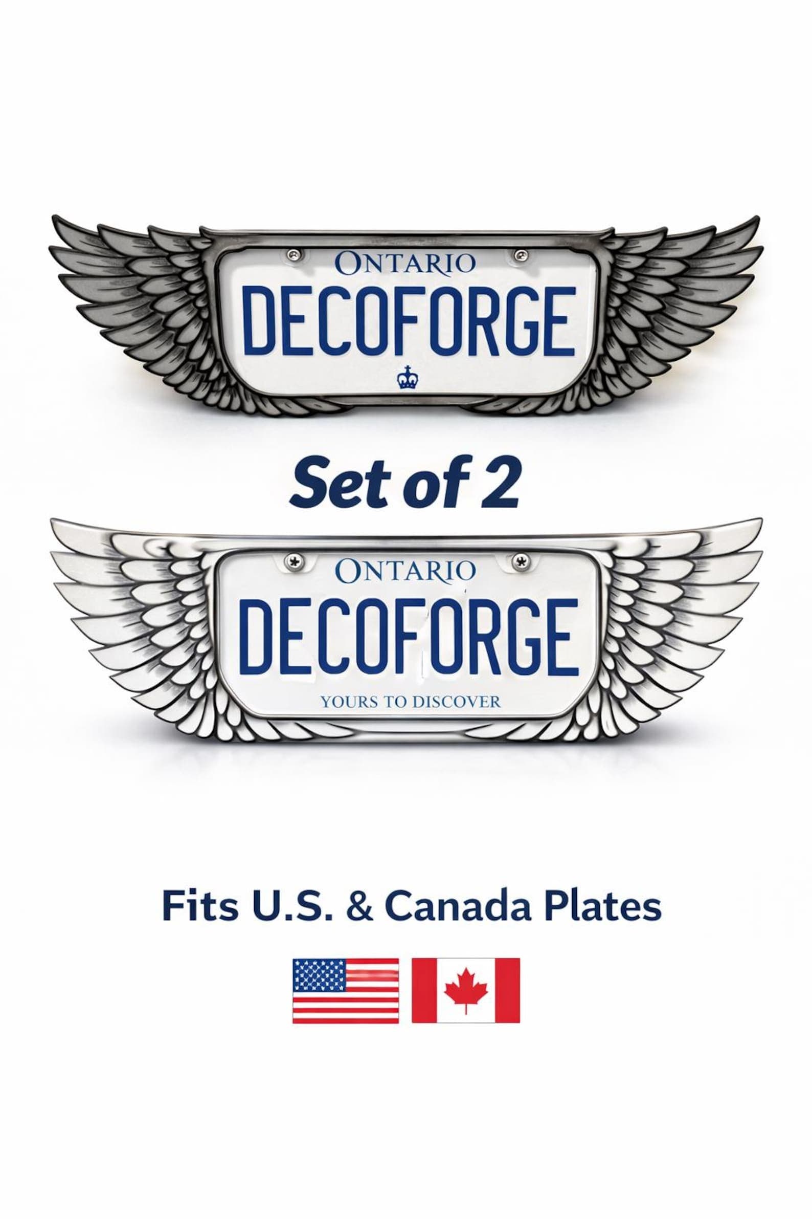 Winged License Plate Frame Set (2-Piece) handmade epoxy custom license plate frame